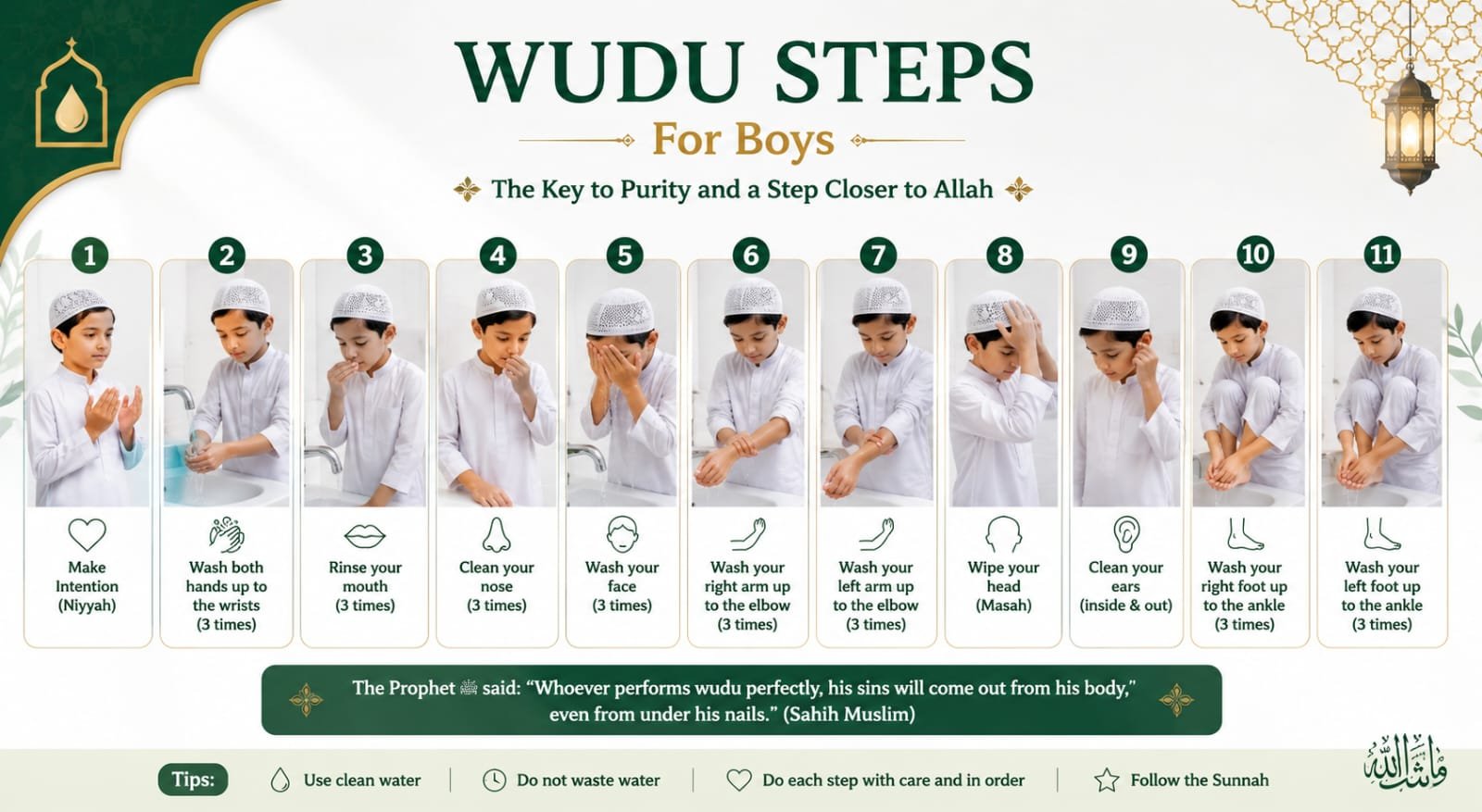 Wudu steps infographic showing the 11 steps of ablution in order - Al-Tarteel Institute